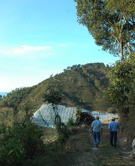 Josue Morales of TG-Lab/Los Volcanes and Hignio Gomez tour Hignio's farm, Las Moritas. Harnessing the connection of many partners at origin, including millers and exporters, can help us achieve the vision for our coffee origin partnerships.