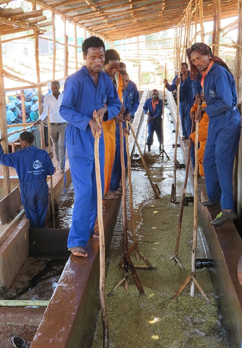 Washing channels at the Guji Highlands Allona washing station near Shakiso, Guji.