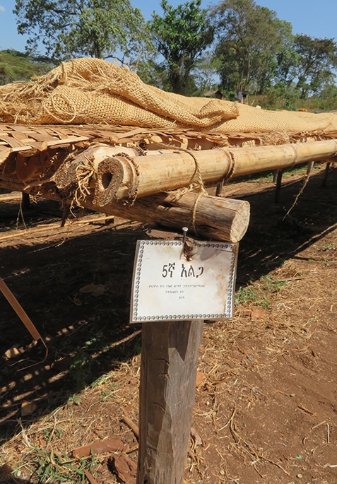 A table of drying parchment at Hallo Faufate covered in parchment to protect it from the intense midday heat.