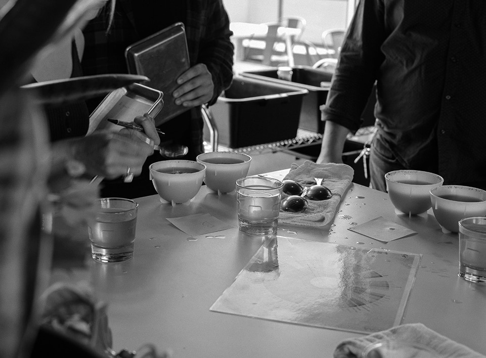 We seek to roast coffees that are unique and diverse.