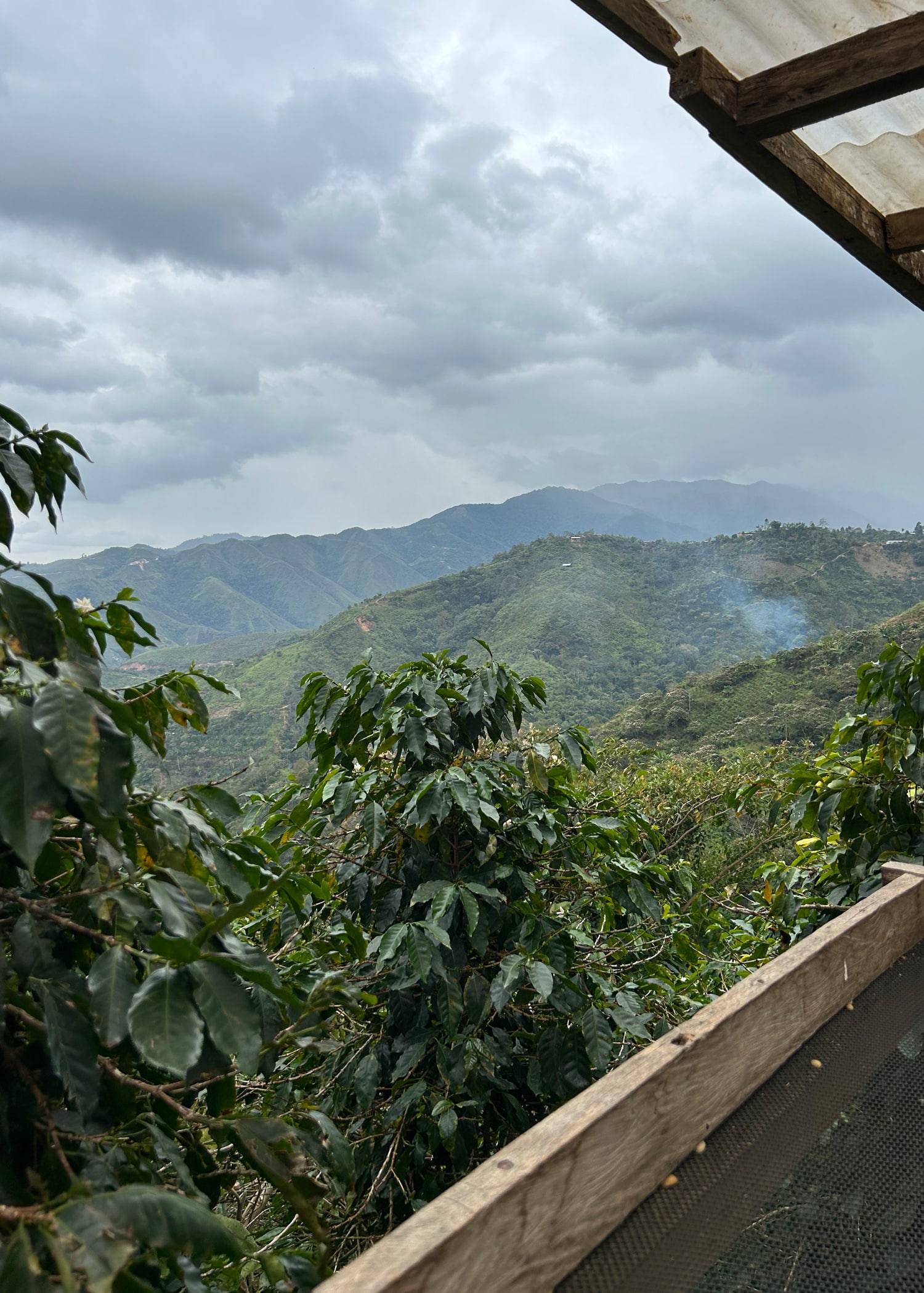 Another overview of the mountainous coffee farms of Cajamarca.